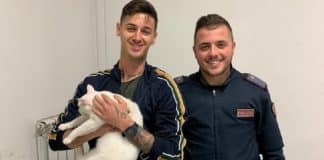 gatto si presenta in commissariato di polizia