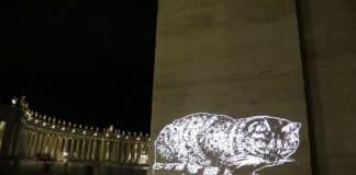 I murales luminosi felini di Roma