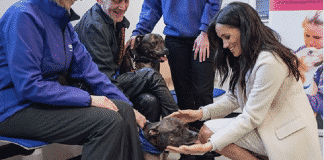 Meghan Markle a favore degli animali