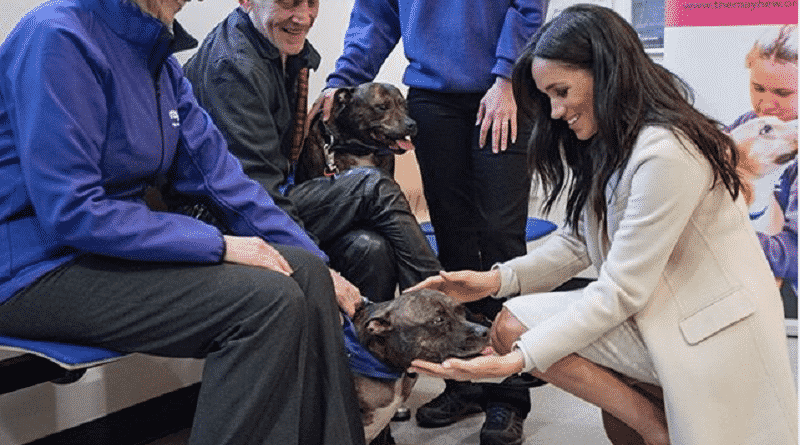 Meghan Markle a favore degli animali