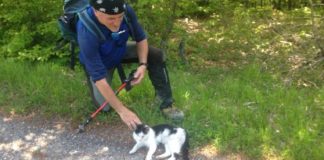 Un gatto accompagna un gruppo di escursionisti