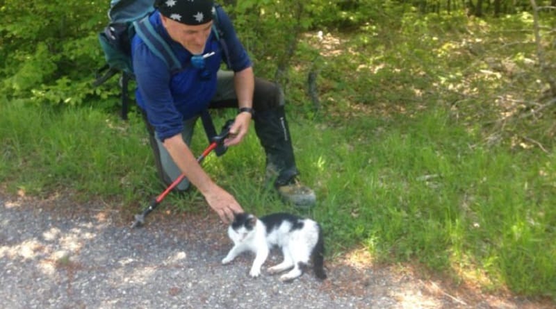 Un gatto accompagna un gruppo di escursionisti