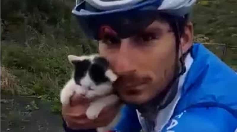 niccolò bonifazio ha salvato un gattino