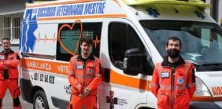 un'ambulanza veterinaria per Venezia