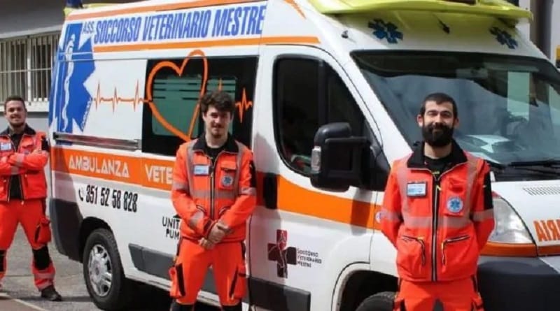 un'ambulanza veterinaria per Venezia