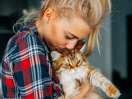 assistenti sociali per animali