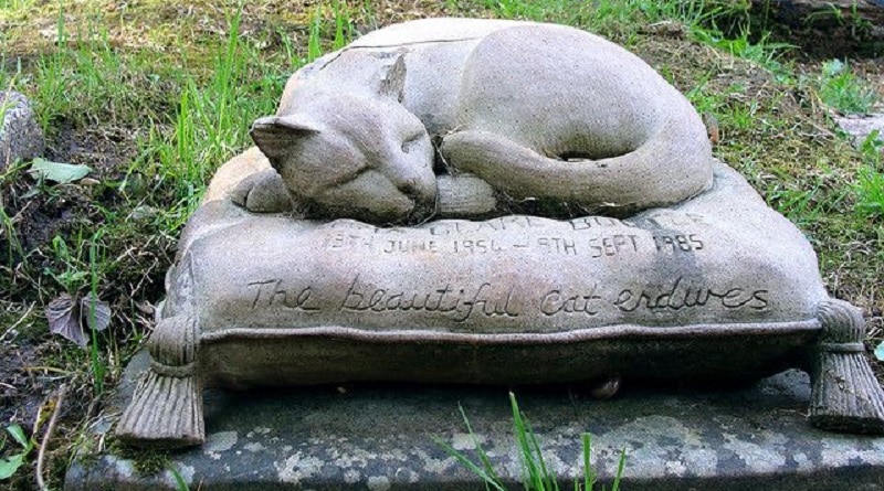 cimitero per animali