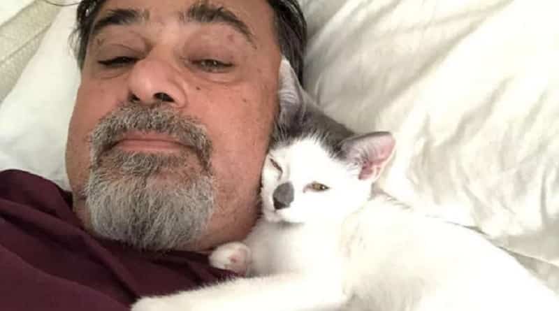 papà si innamora di gattino