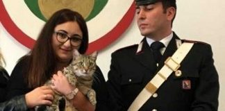 un riscatto per restituire il gatto scomparso