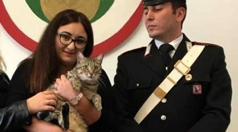 un riscatto per restituire il gatto scomparso