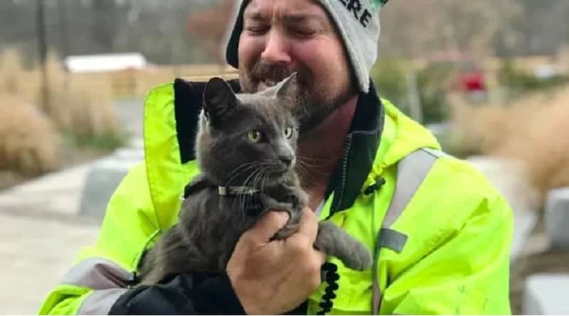 il camionista ha ritrovato il suo gatto