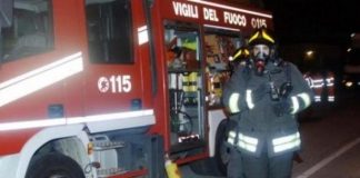 incendio doloso al gattile