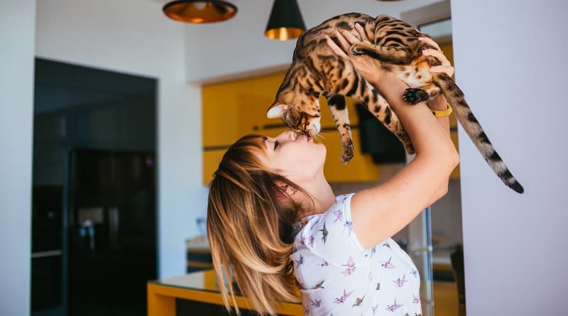 come si chiamano gli amanti dei gatti