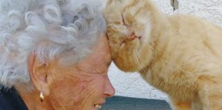 nonna dora e gatto mimmo