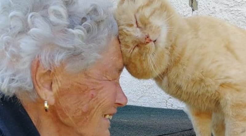 nonna dora e gatto mimmo