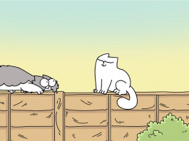 simon's cat comportamento gatti