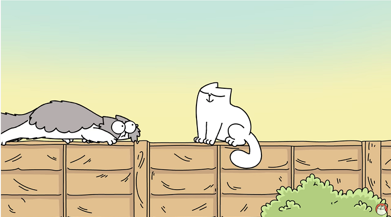 simon's cat comportamento gatti