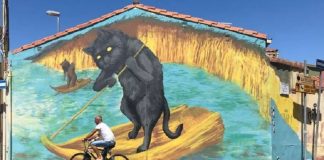 murales gatto Sardegna