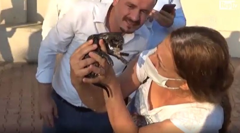 In Turchia i vigili del fuoco hanno salvato un gattino distruggendo un marciapiede