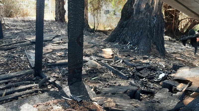 incendio colonia gattonero onlus