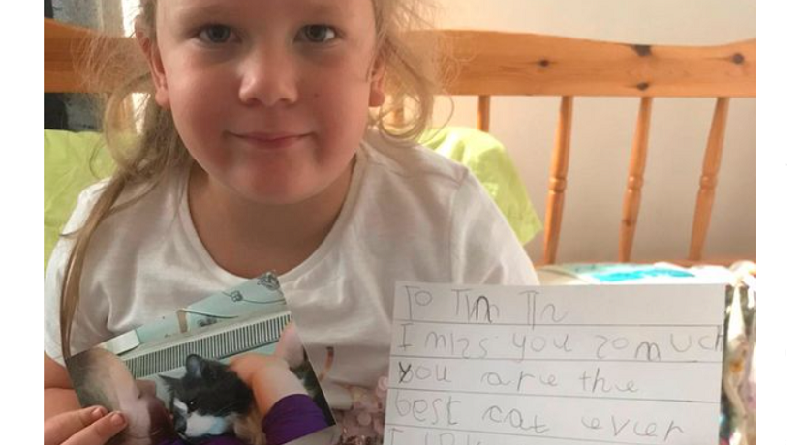 una bambina scrive una lettera alla sua gatta in paradiso