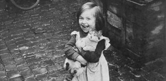 foto gatto anni 50