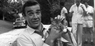 sean connery insieme a un gattino