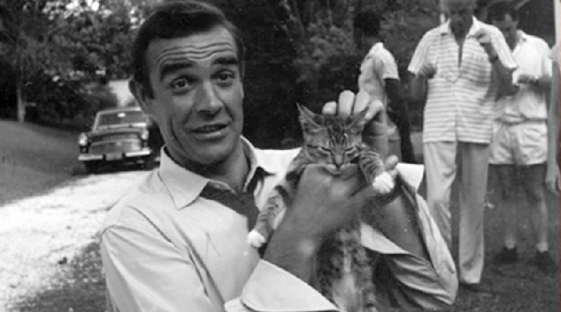 sean connery insieme a un gattino