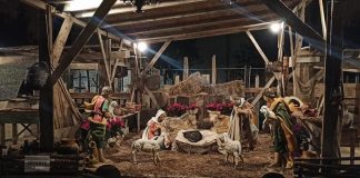 un gatto nel presepe