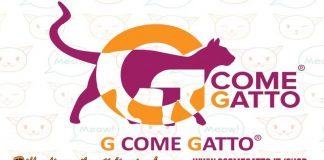 g come gatto intervista radio