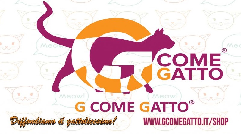 g come gatto intervista radio