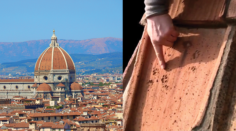 orme gatto cupola santa maria del fiore