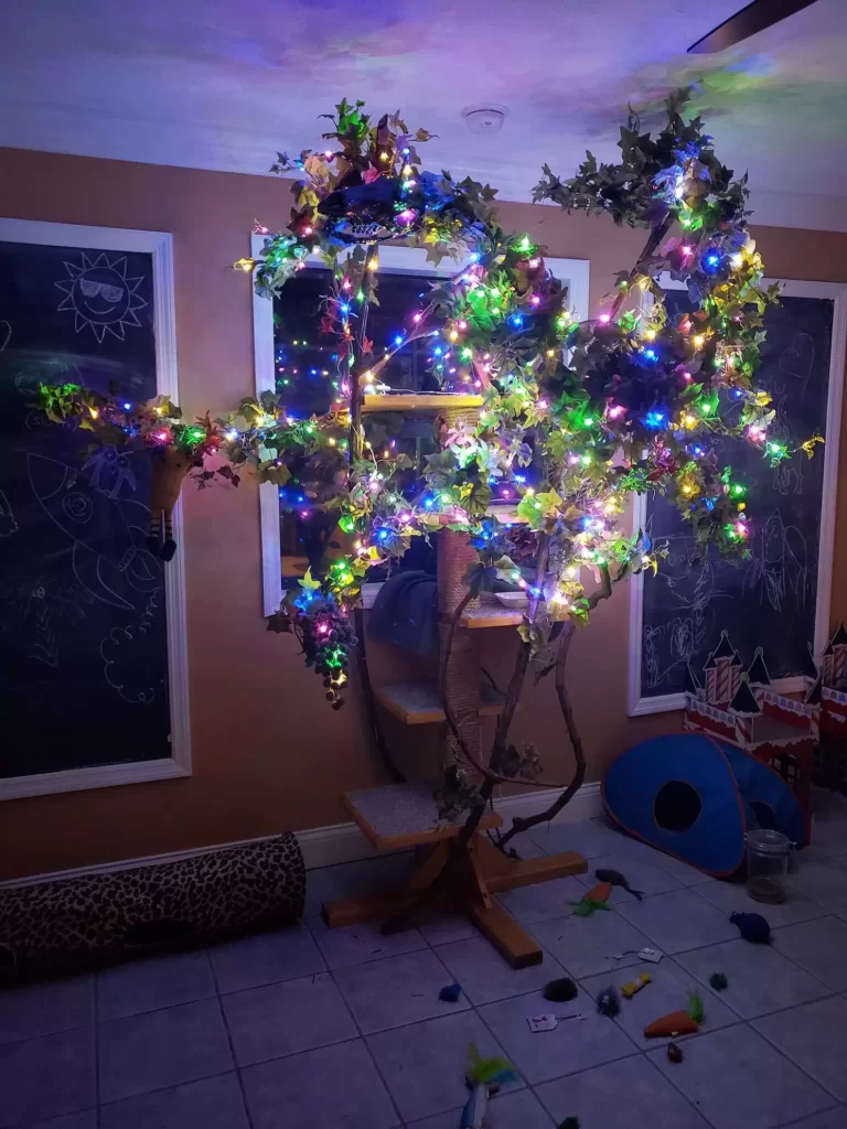 La gatta Luna ama così tanto l’albero di Natale che la famiglia ha deciso di renderlo permanente