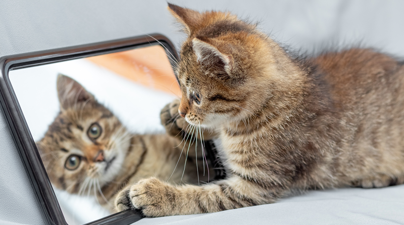 Specchio LED Con Decorazione D13