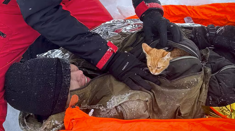 In fuga dall’Ucraina, cade in un burrone. La sua gatta lo salva dal congelamento.