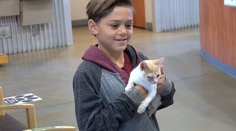 Zayin, il bambino eroe: salva un gattino maltrattato scambiandolo con il suo skateboard
