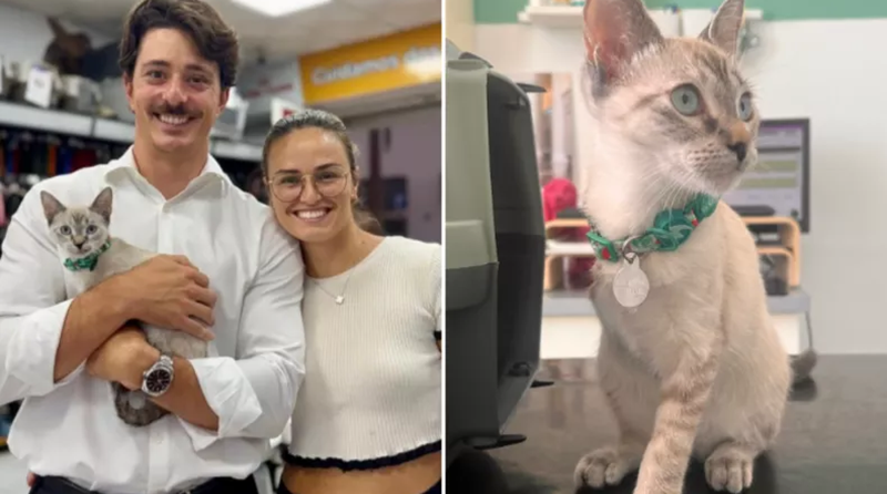 Il lieto fine di Olivia, la gatta tripode e con il muso storto rifiutata da tutti