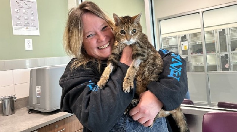 Ritrova il suo gatto dopo 12 anni: “È cieco, ma mi ha riconosciuta subito”
