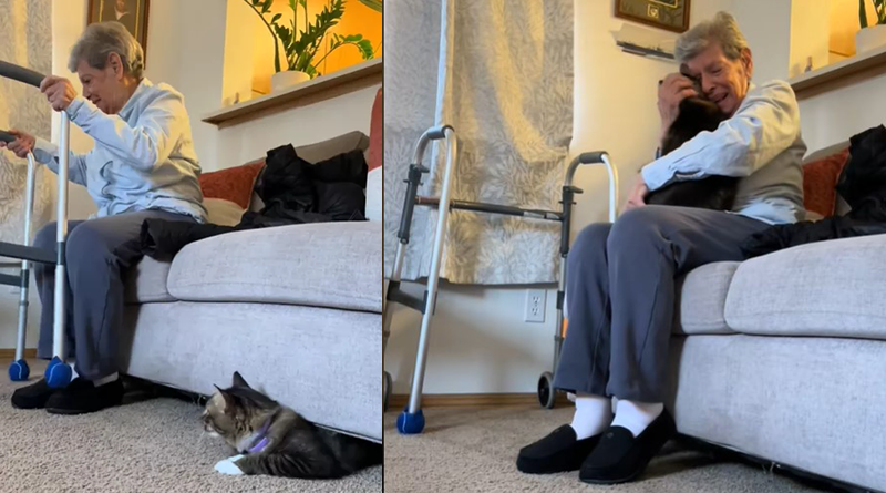 Il commovente abbraccio tra una donna e il suo gatto dopo il lungo ricovero in ospedale