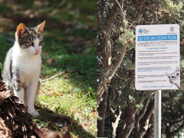 enpa ruvo di puglia segnaletica gatti colonie