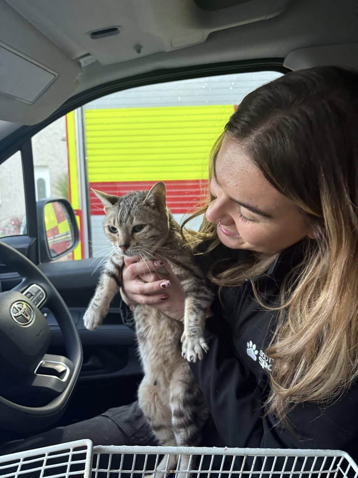 gatta intrappolata 5 giorni in seminterrato