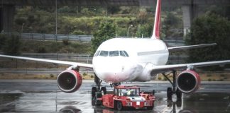 gatto nel motore di un aereo fiumicino