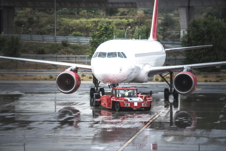 gatto nel motore di un aereo fiumicino