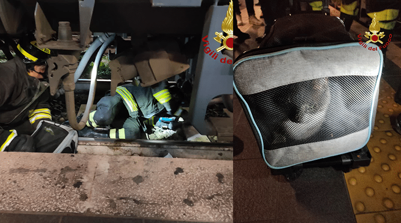 Roma Termini, un gatto scappa e si rifugia sotto a un treno in partenza: il pronto intervento dei Vigili del Fuoco