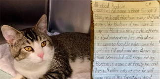 gatto lasciato al rifugio con lettera di 7 pagine scritta da un bambino