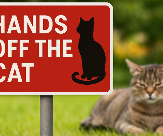 hands off the cat campagna comune nichelino
