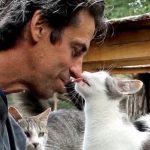 Incendio all’Happy Cat Sanctuary: Chris muore tra le fiamme per salvare i gatti. È riuscito a salvarne 200