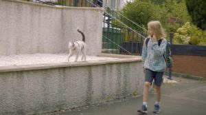 Kiki, la gatta di Glasgow che accompagna ogni giorno il suo umano di 10 anni a scuola