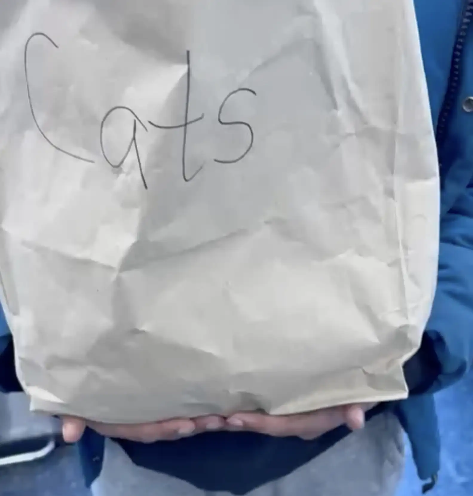 gatti abbandonati in un sacco