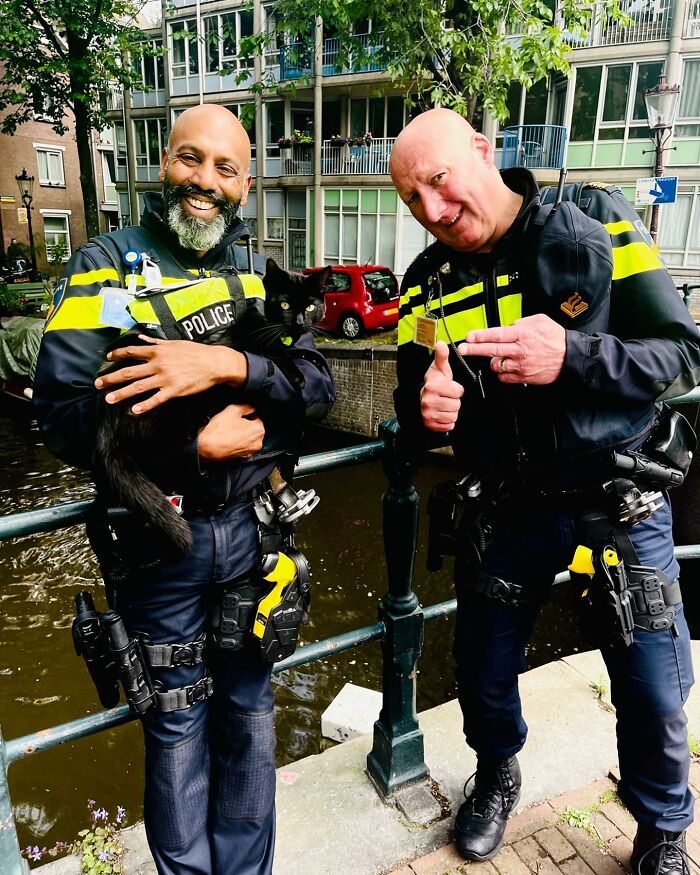 gatto poliziotto amsterdam